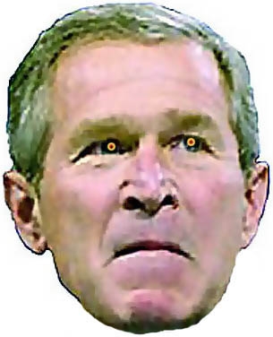 Bush the stupid.
